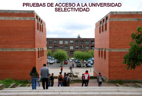 selectividad_2.jpg